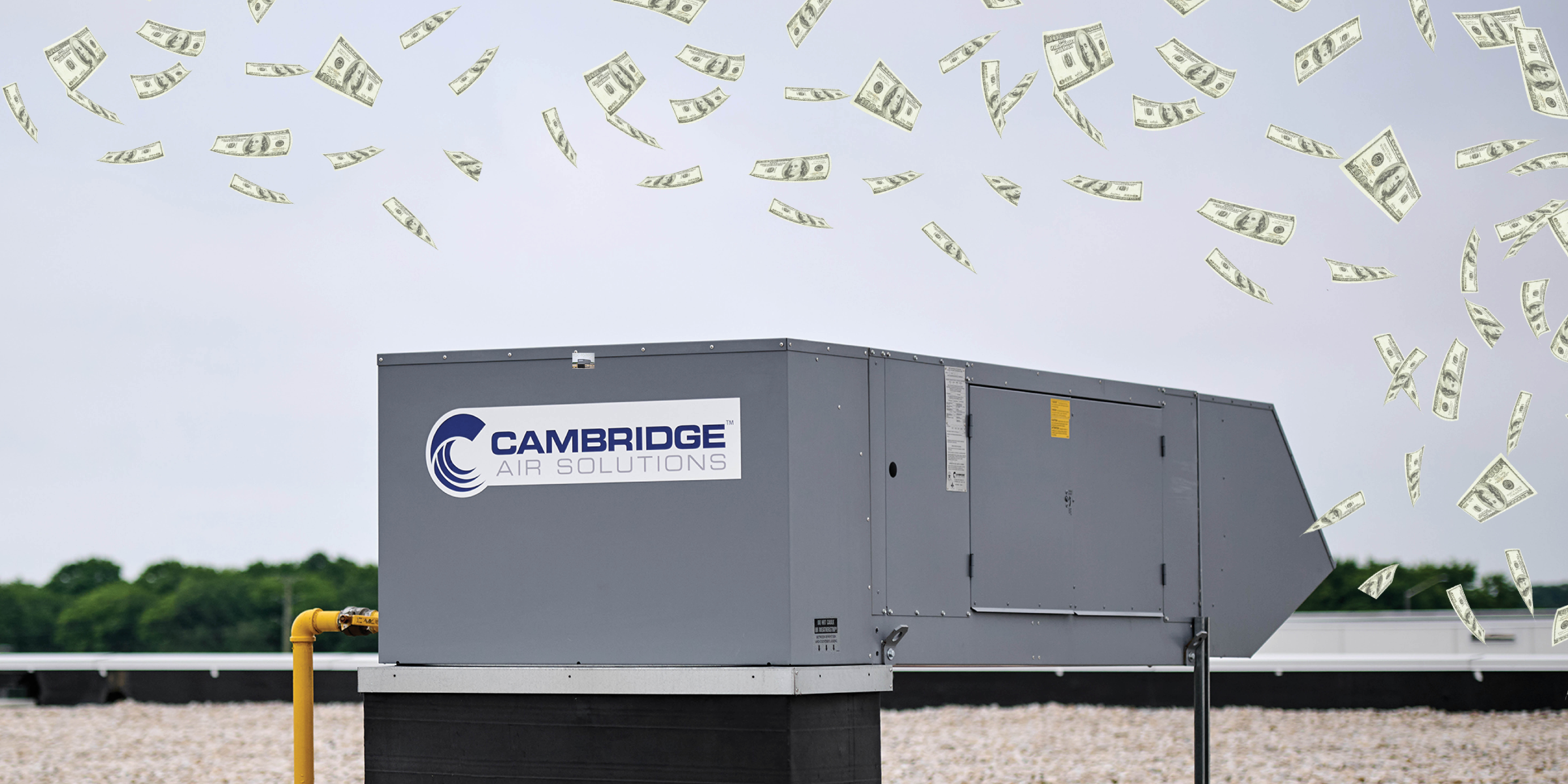 rebate blog image final.jpg